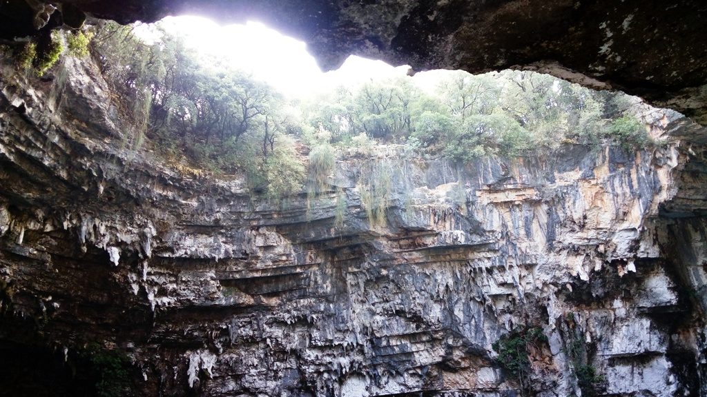 Melissani cave's opening with trees