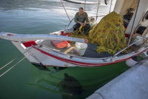 Fischkutter und Meeresschildkröte im Hafen von Argostoli, Kefalonia